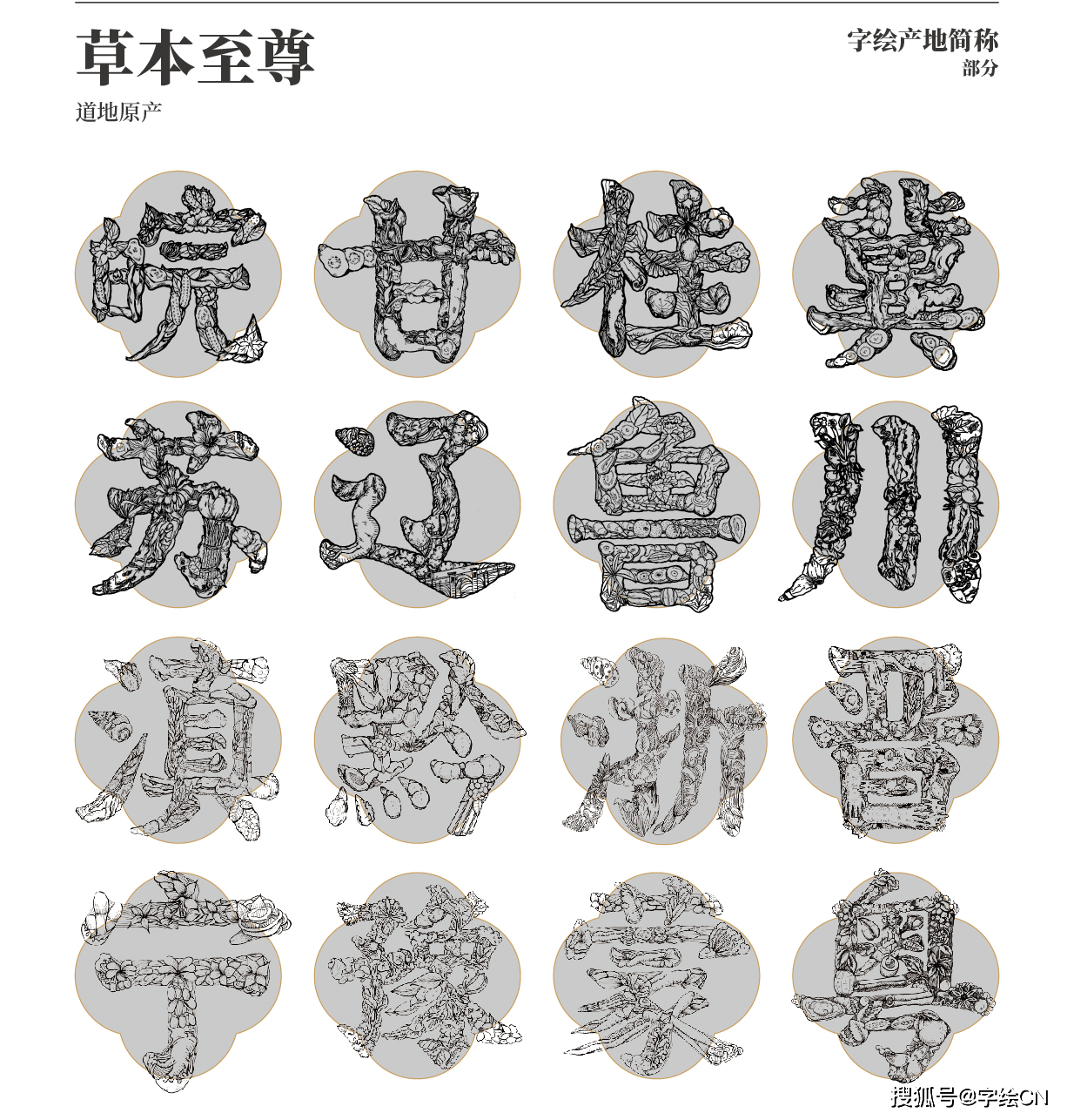 恒昌医药x字绘中国 药材道地,药才地道
