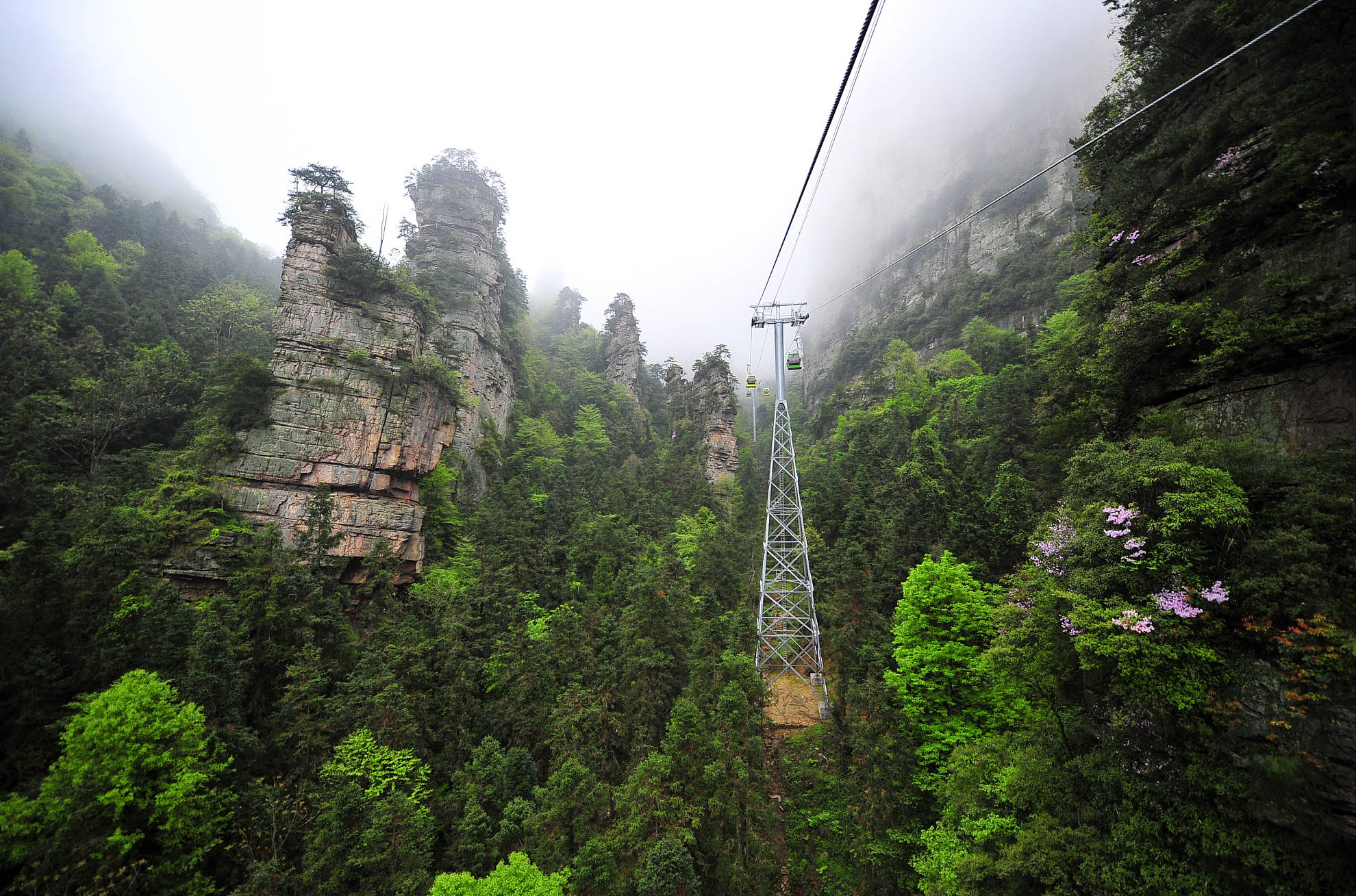 杨家界风景区以独特的峰墙景观闻名于世,与峰林,峰丛组成了与世罕见