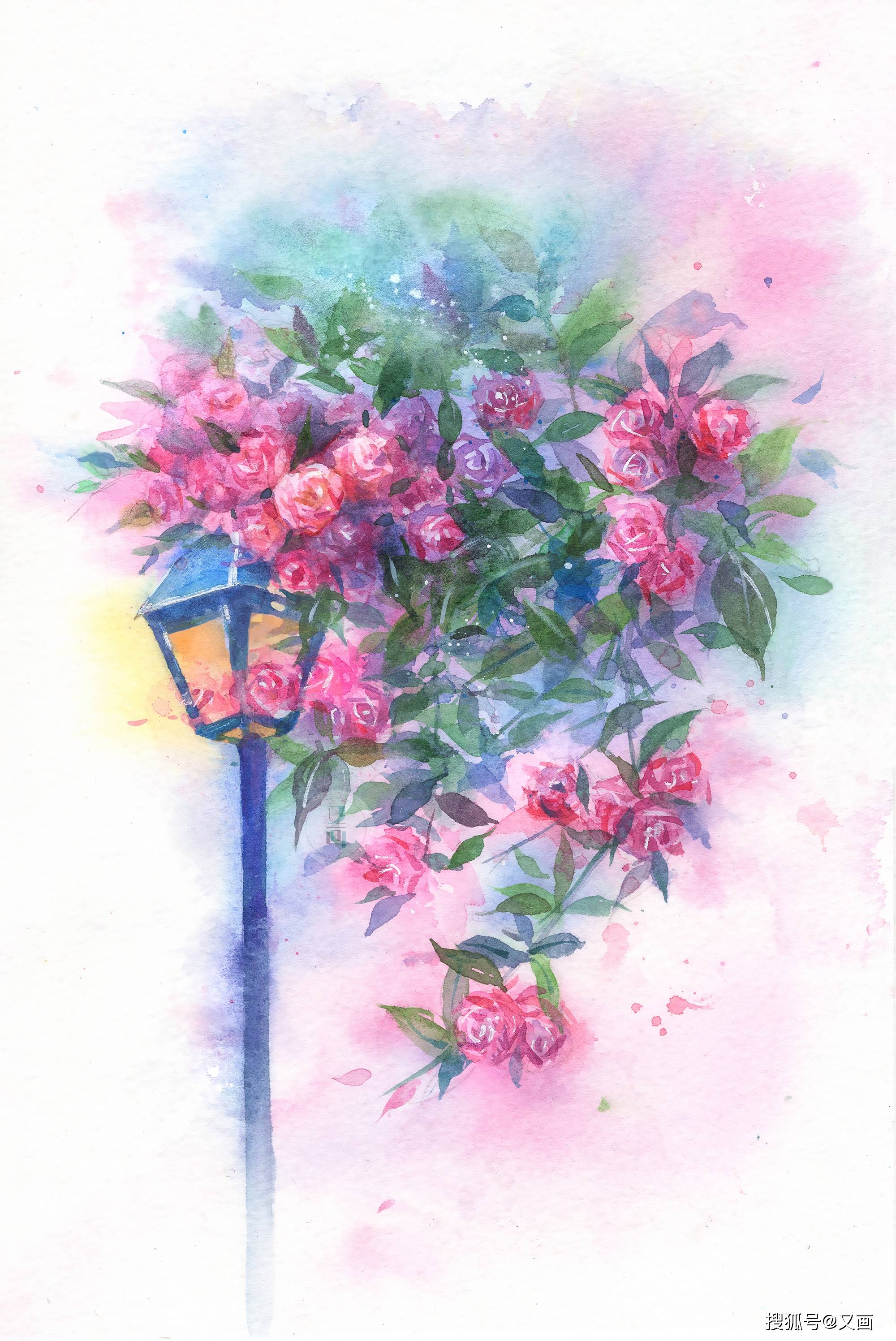 水彩花卉 夜灯蔷薇绘画步骤