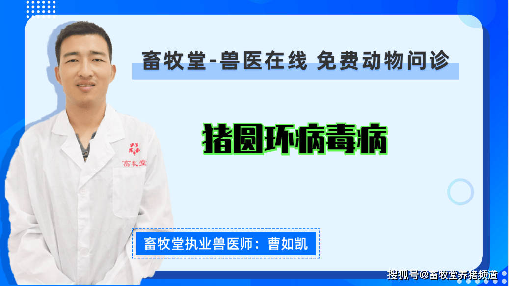 猪圆环病毒病有哪些症状?猪圆环病该如何综合预防?