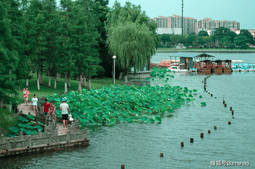 美丽的宁波日湖公园