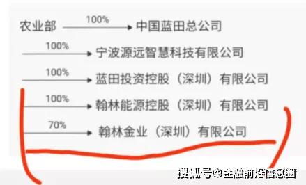调查发现,翰林金业的大股东翰林能源控股(深圳)有限公司是由蓝田投资