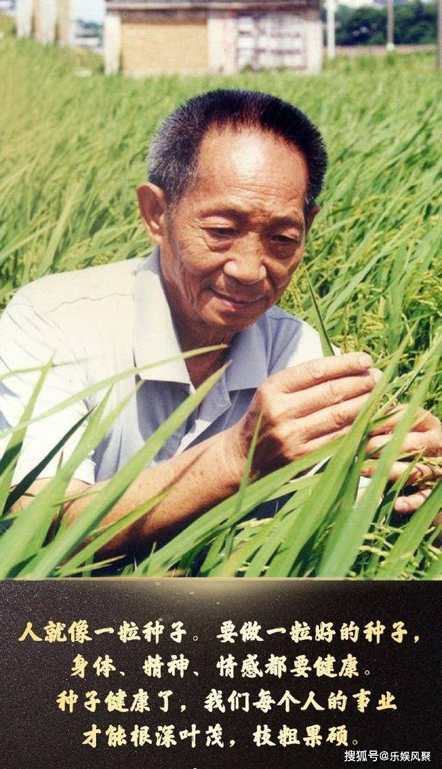 水稻之父 来自搜狐网