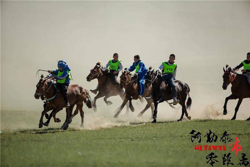 激情驰骋 赛马比赛精彩纷呈_阿勒泰市