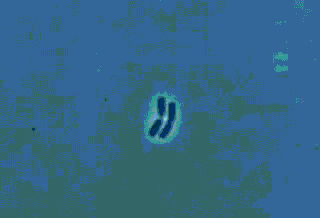 320_218