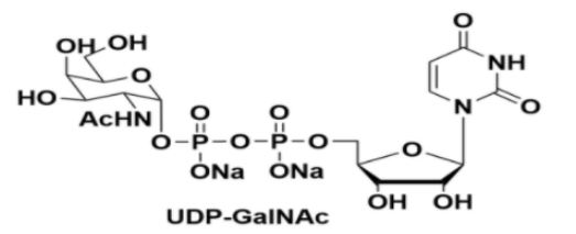 胺二钠盐丁二酰氨基半乳糖二钠盐尿苷-5-二磷酸-n-乙酰基氨基半乳