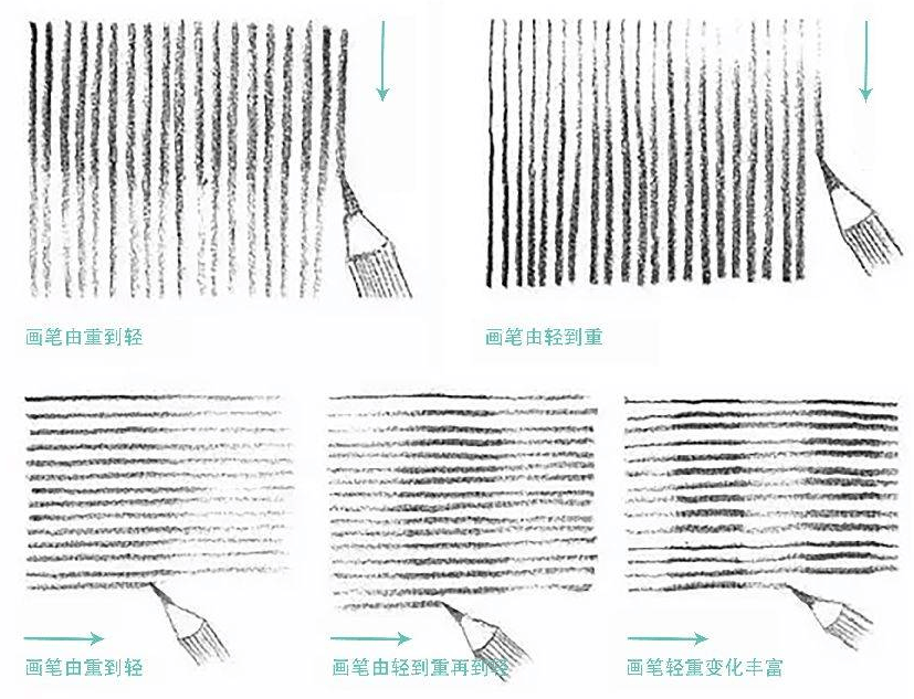 同年美术素描速写基础线条练习