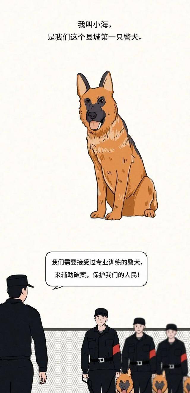 铲屎哥做了一期工作犬的漫画,让我们再一次走进这些狗狗的日常.