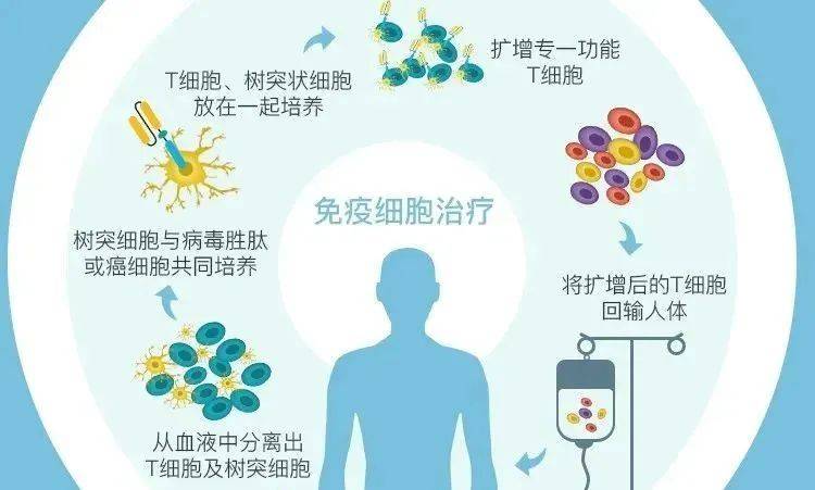 cctv免疫力是第一生命力细胞治疗时代已经到来