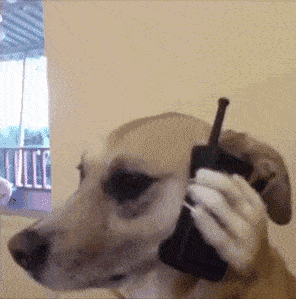 妹子:让你玩手机,早晚让你成为大郎 这个人呐,有好好的大路不走,非要