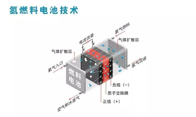 氢燃料电池电堆组件及全景图谱