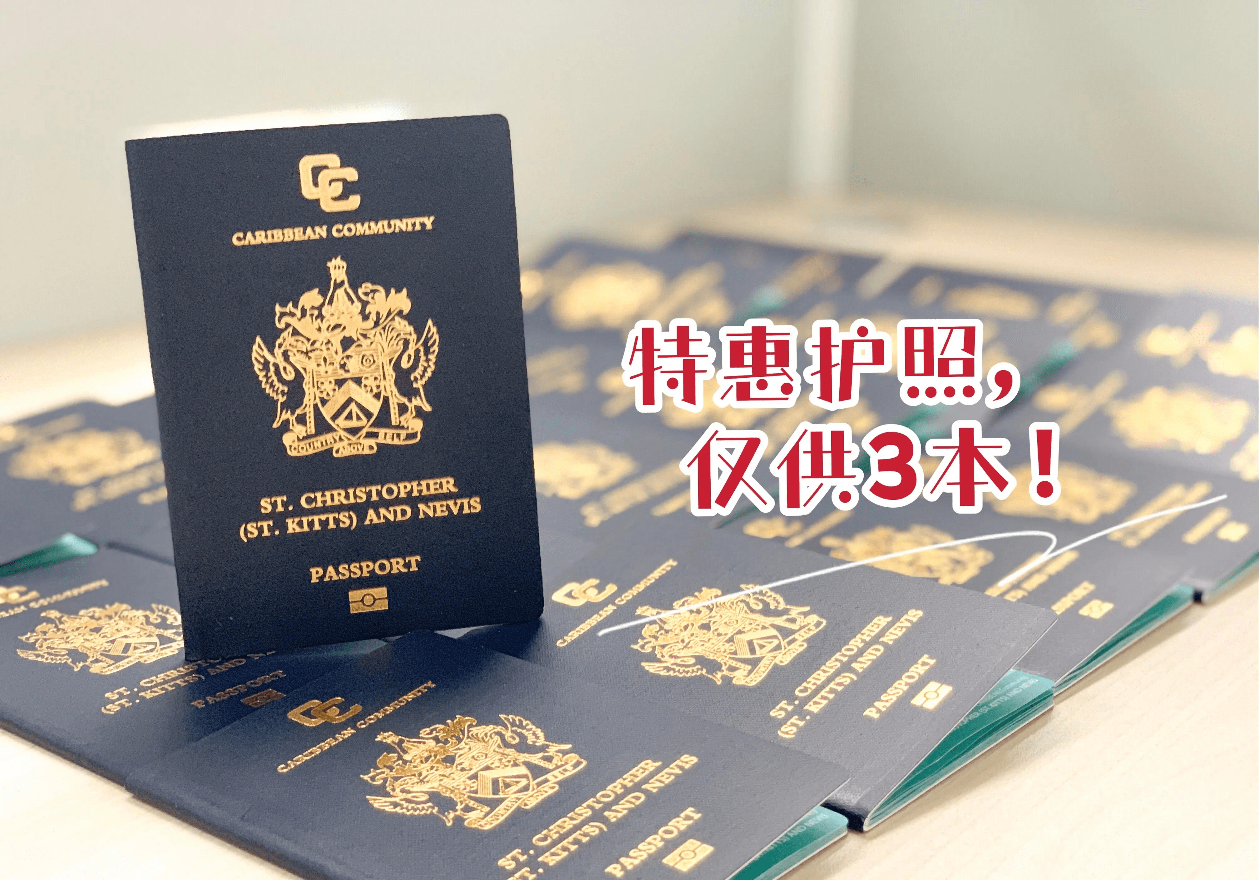 2021亨利护照指数排名最新出炉荷兰排名全球最强护照第6名