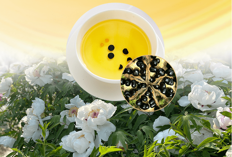 对抗"新冠",营养治疗新方案,食用牡丹籽油!