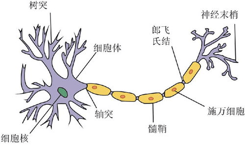 内科