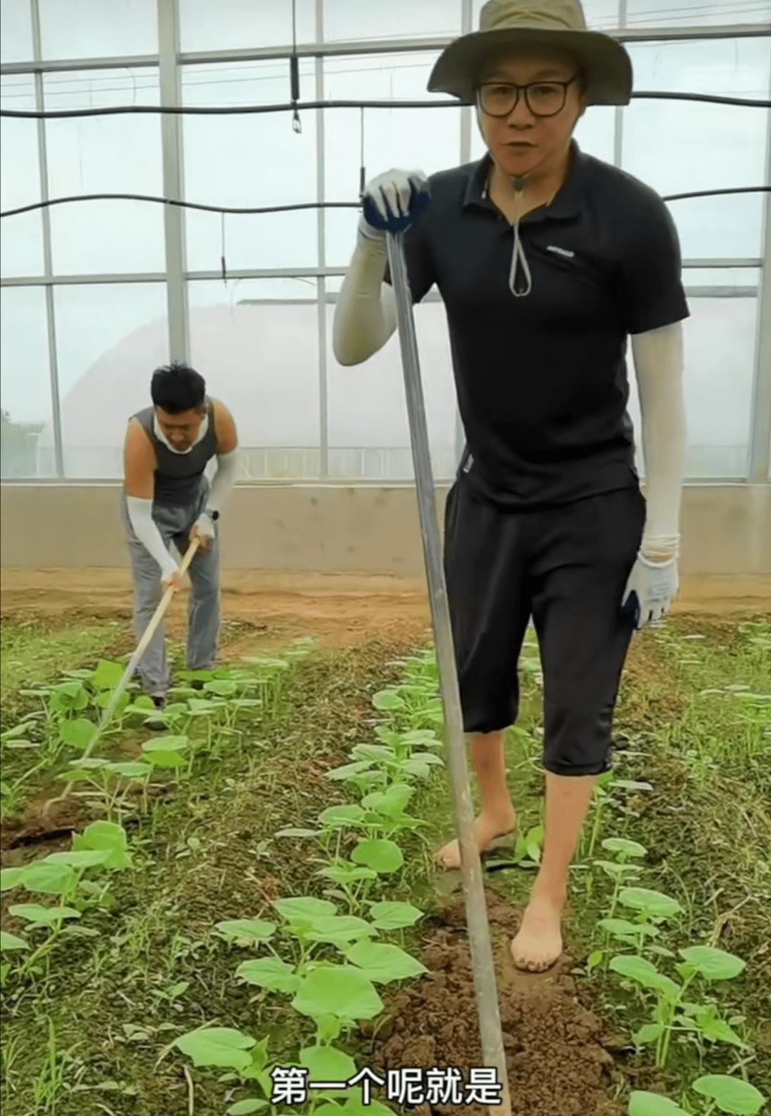 在干活期间高虎还几次停下来给网友解说种菜步骤,并谈到定期除杂草的