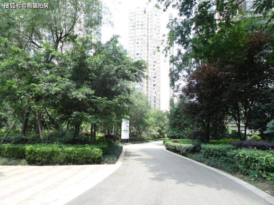 成都三圣乡锦城逸景法拍房单价119万成交