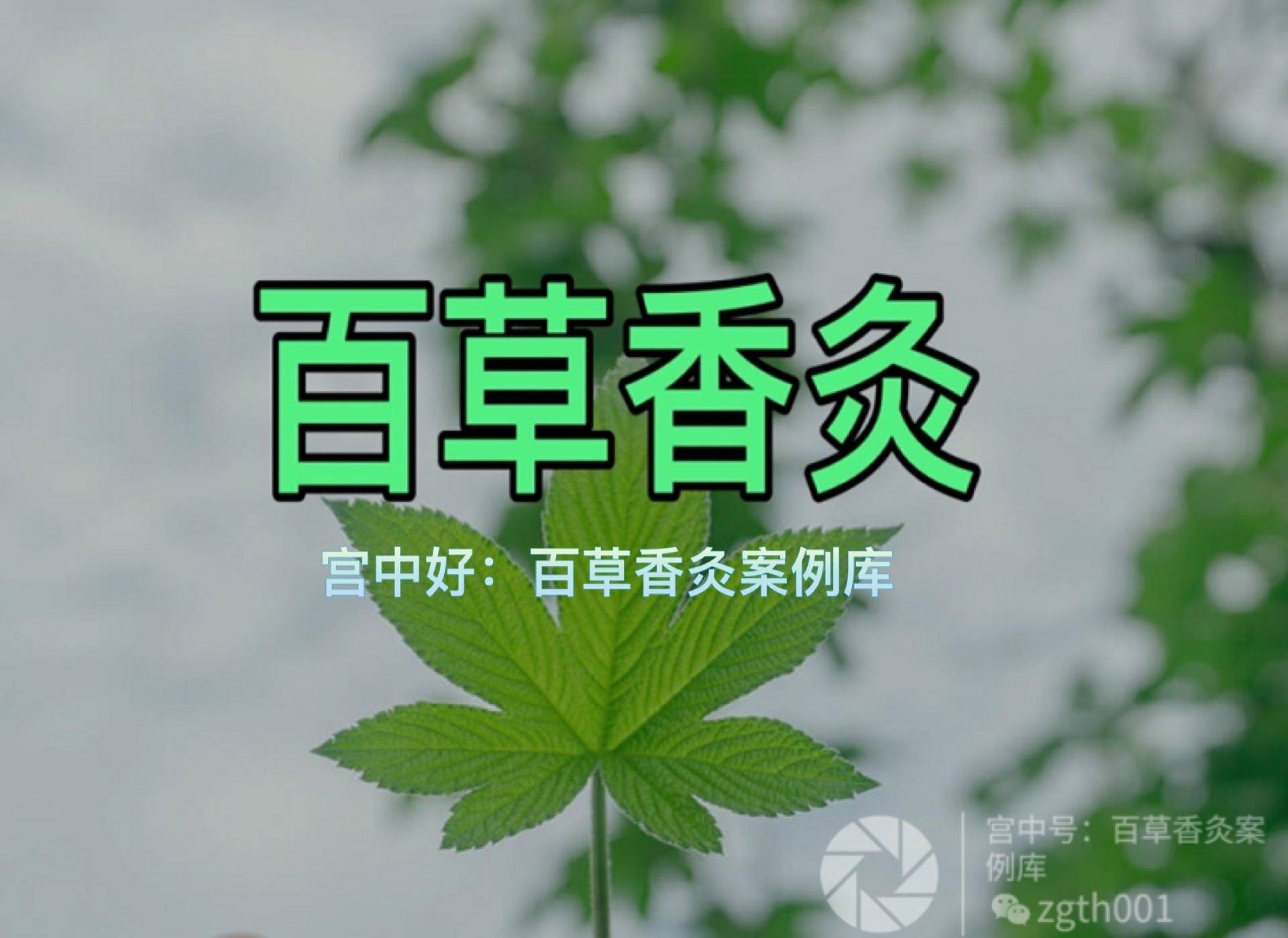 百草香灸每天的精彩不断啊