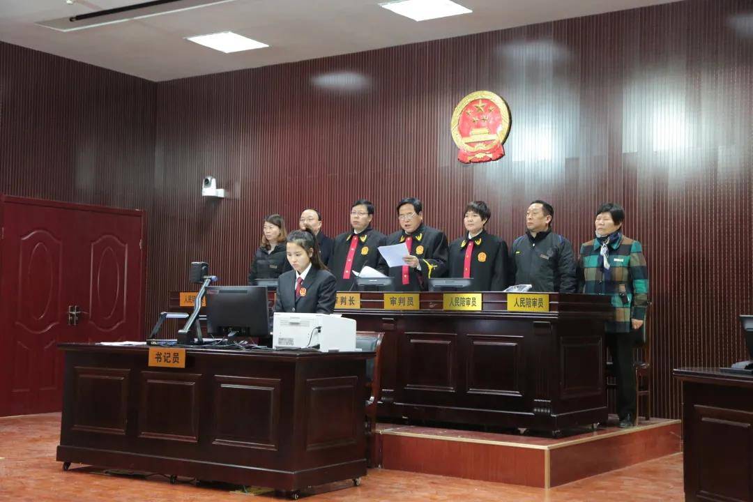她审理的"大荔县美容院老板"杜某集资诈骗一案,该案涉及金额8000余万