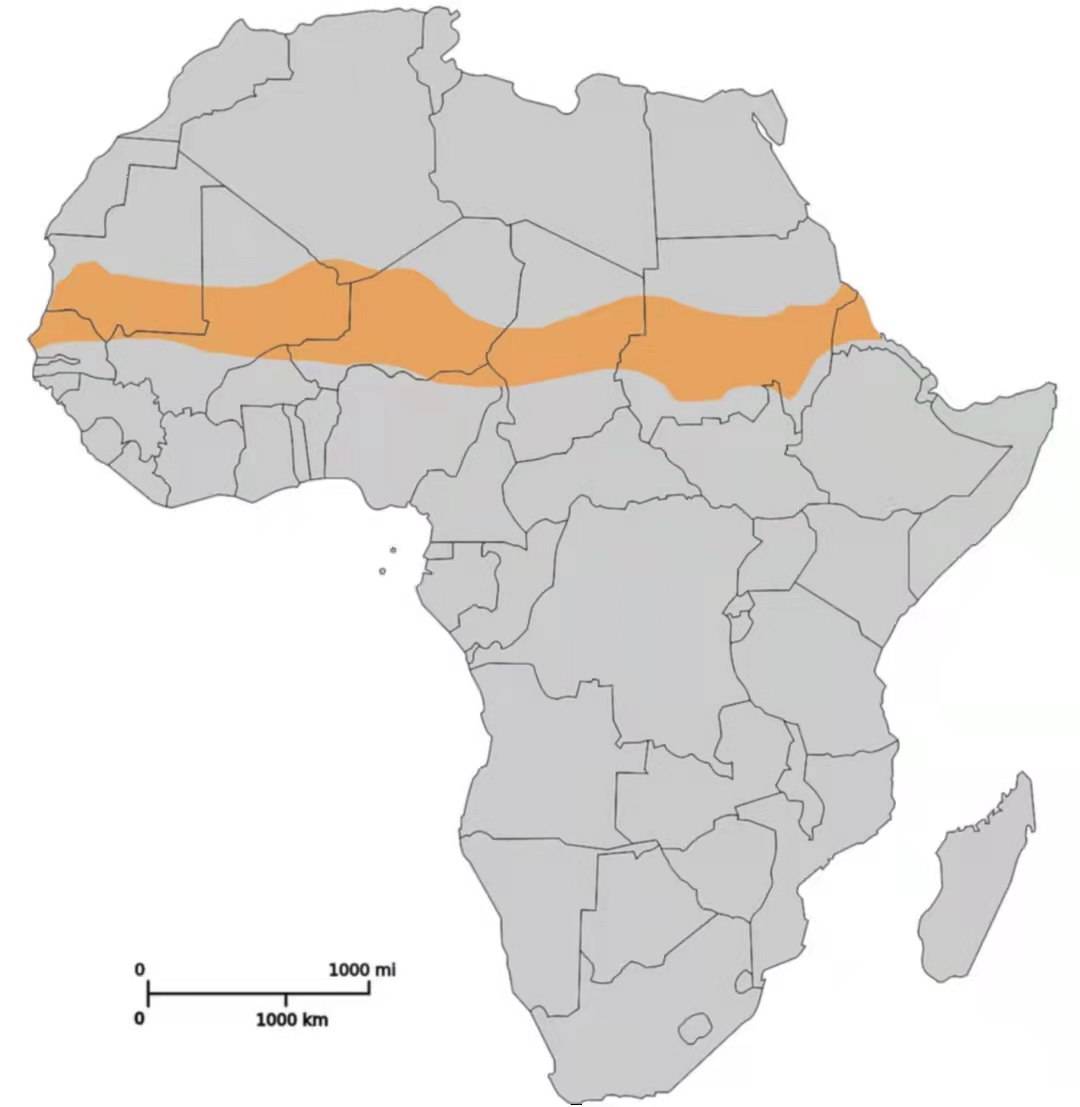 但有一个条状的特殊区域是例外,在撒哈拉沙漠南部边缘与非洲稀树草原