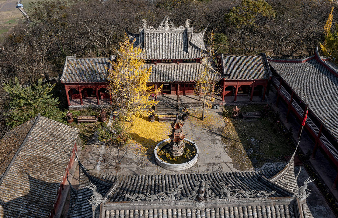 千年古刹天皇寺:深秋银杏醉游人_越西县_陈先林_刘国兴