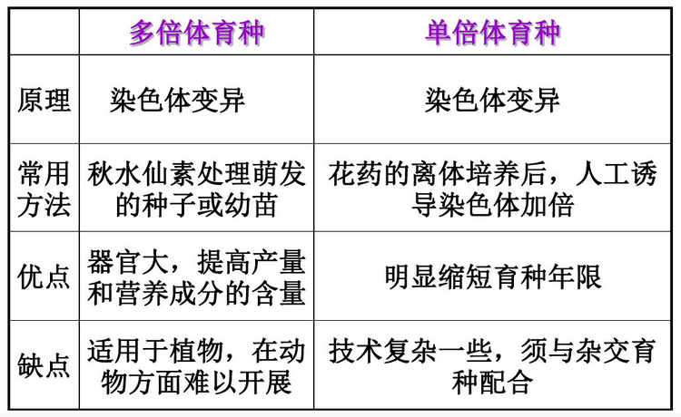 染色体畸变应用于人工诱导多倍体育种和单倍体育种植物细胞一般很小