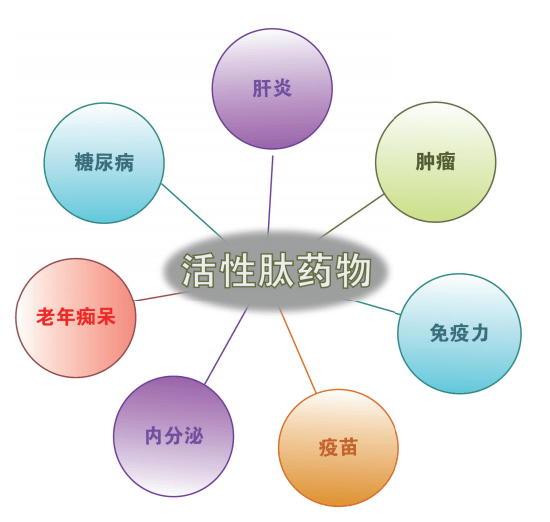 多肽胶囊肽知识活性肽药物的特点