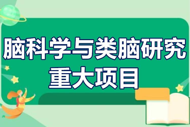 脑科学与类脑研究重大项目专项资金申报流程要求条件申报方式指南