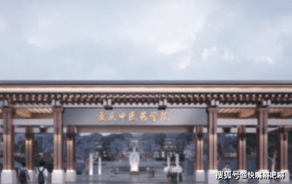 目前重庆中医药大学一期已经建设完成,有消息透露重庆医学院将在2022