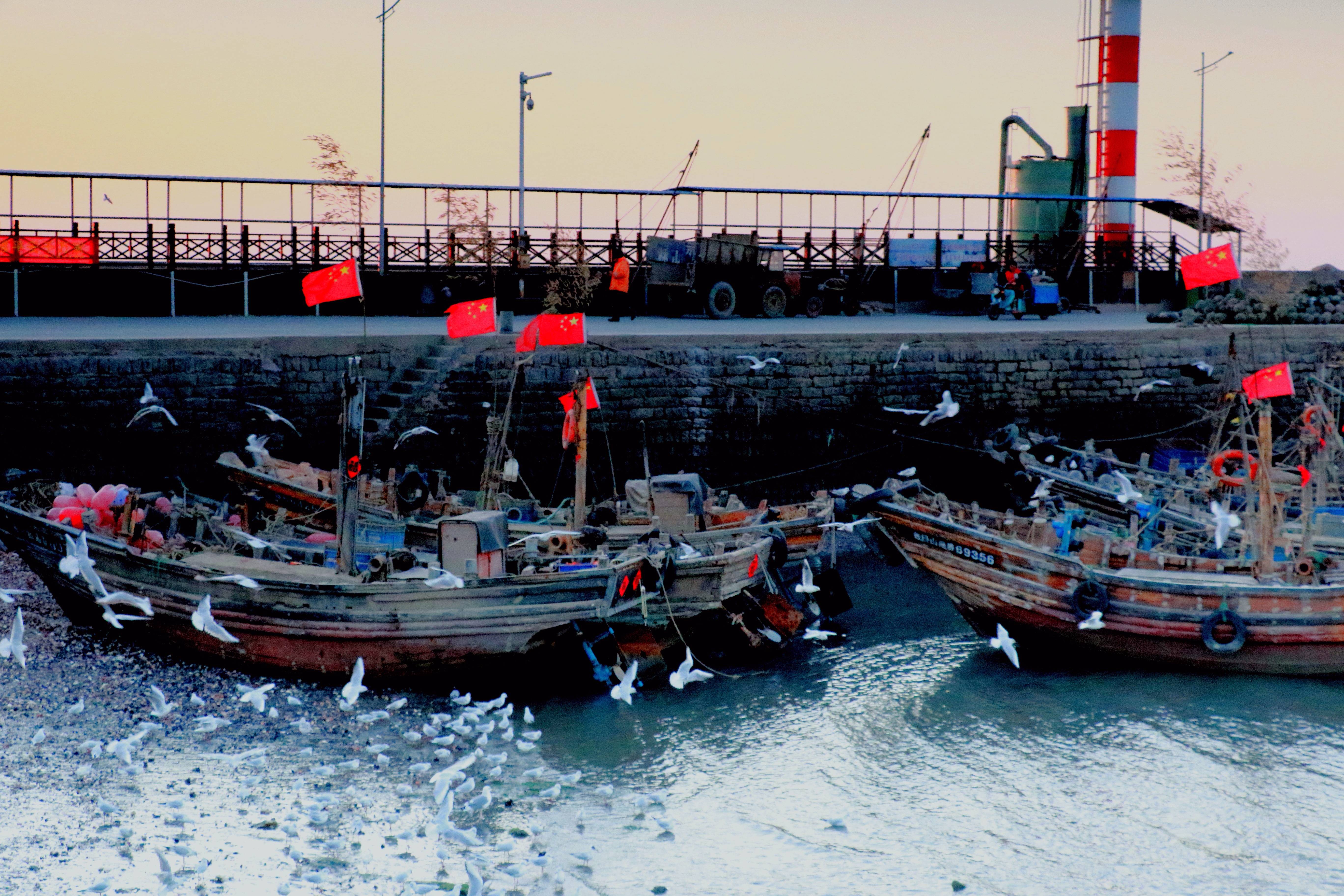 原创黄海之滨的日出海鸥翩飞渔船摇荡这么美的渔港码头一定要来