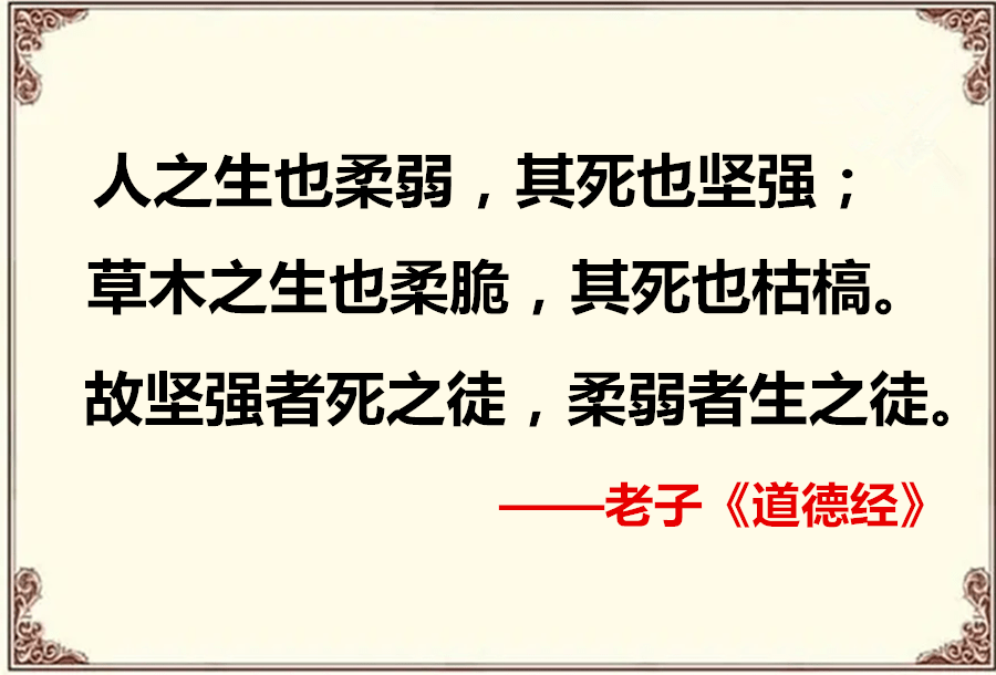 "然而老子又在《道德经》上说'坚强者死之徒,柔弱者生之徒