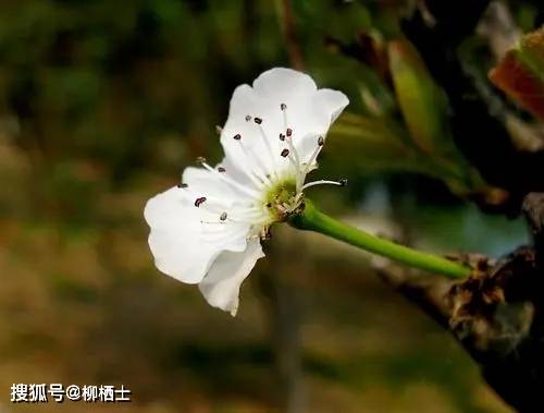 【高考作文】材料作文“远虑”审题指导与例文导写  高考作文 第3张