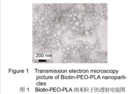 四臂/六臂/八臂聚乙二醇丙烯酰胺 4/6/8ARM-PEG-AAM