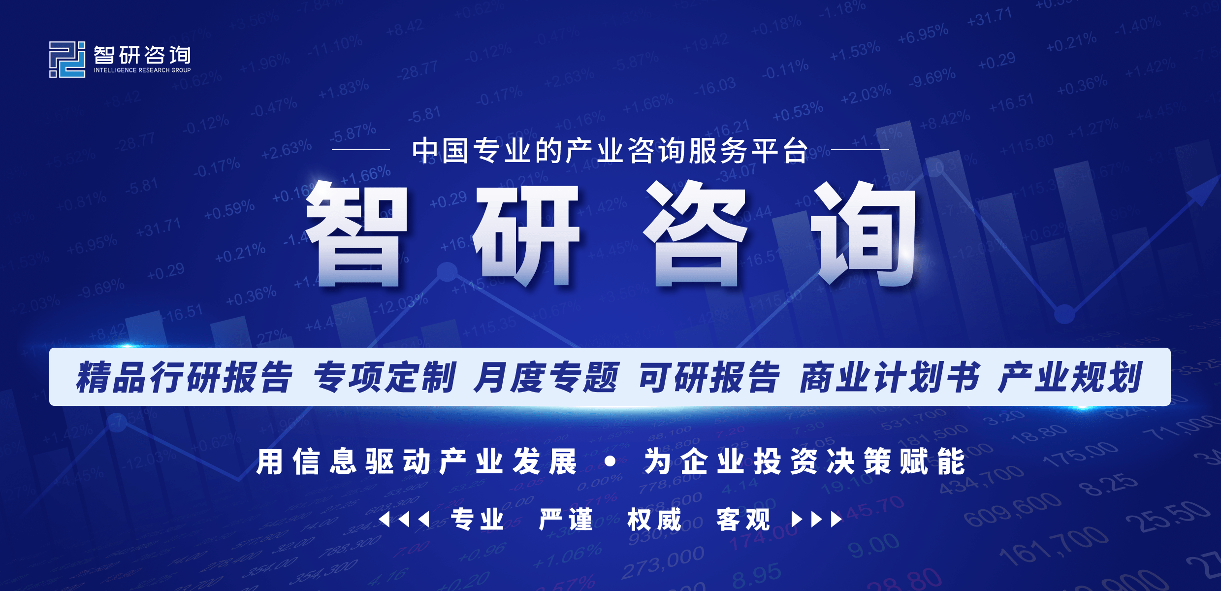 2023-2029年中国导航电子地图行业合作现状及投资时机阐发陈述