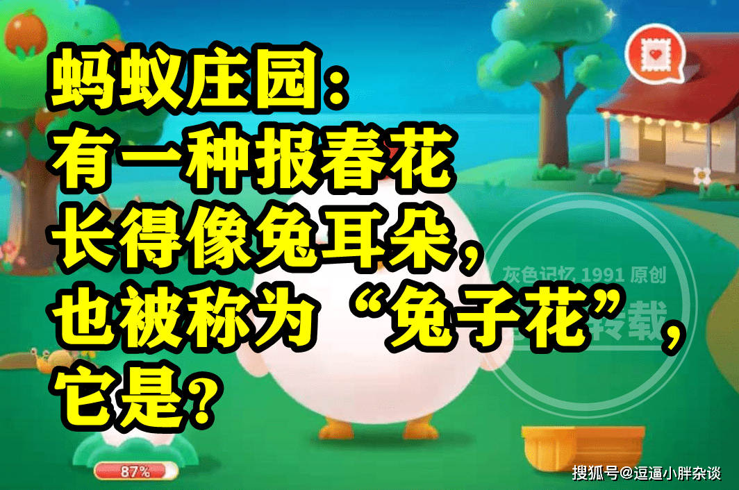 有一种报春花长得像兔耳朵被称为兔子花它是啥？蚂蚁庄园谜底