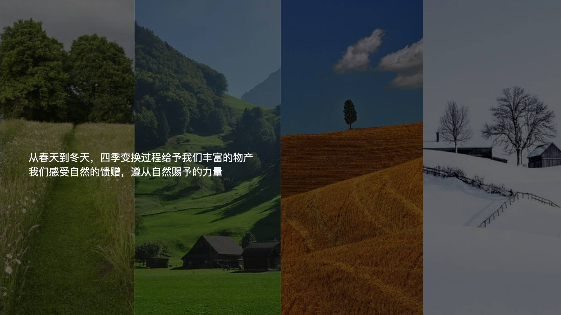 文章配图-2