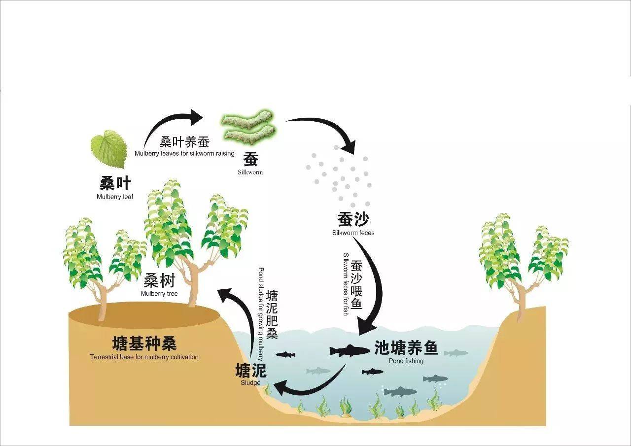 大有可为 | 在中国的有机农业