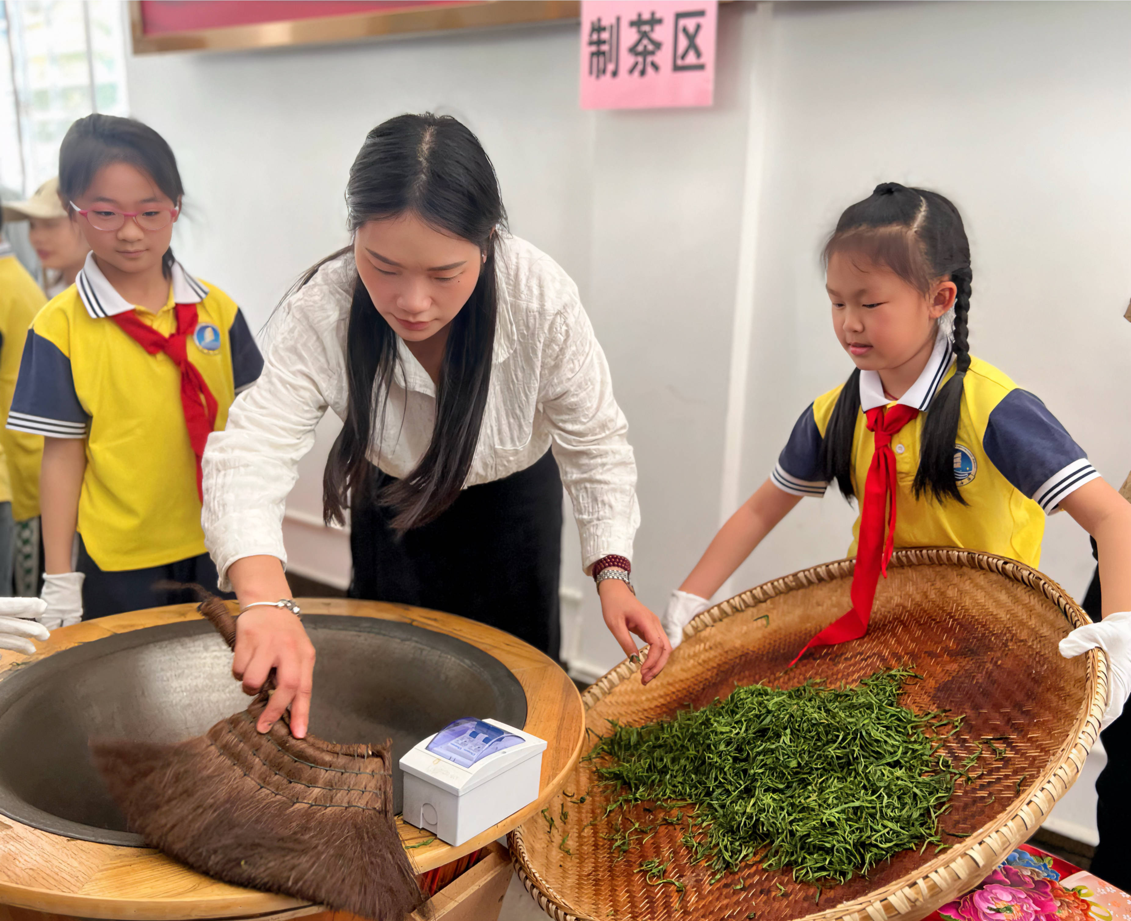 张家界金海尝试学校：莘莘学子采茶欢 劳动教育助双减（组图）