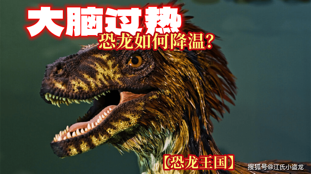 凤凰至尊 平台登录注册域名(原创            【恐龙王国】恐龙如何给大脑降温?)恐龙怎么支撑那么大身体的,