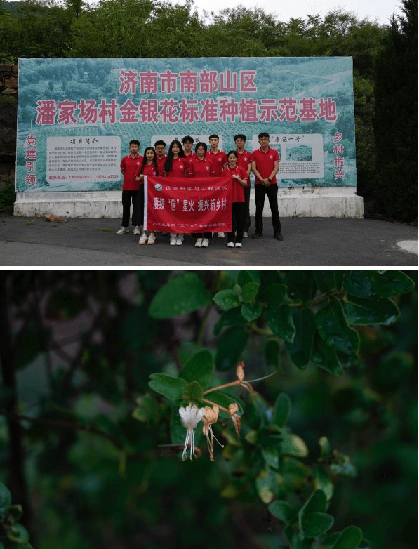 LD乐动 乐动体育青春奋进新征程乡村振兴建新功齐鲁师范学院“赓续‘信’星火振兴新乡村”(图16)