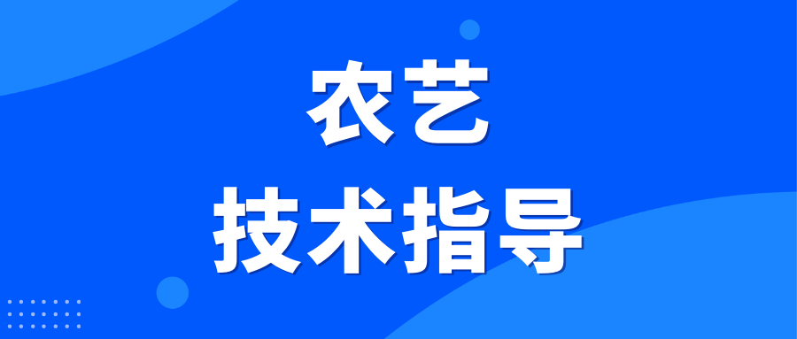 九游会J9 J9九游会别划走！农艺技术指导证书怎么报考？证书有什么用？报考流程及时间(图1)