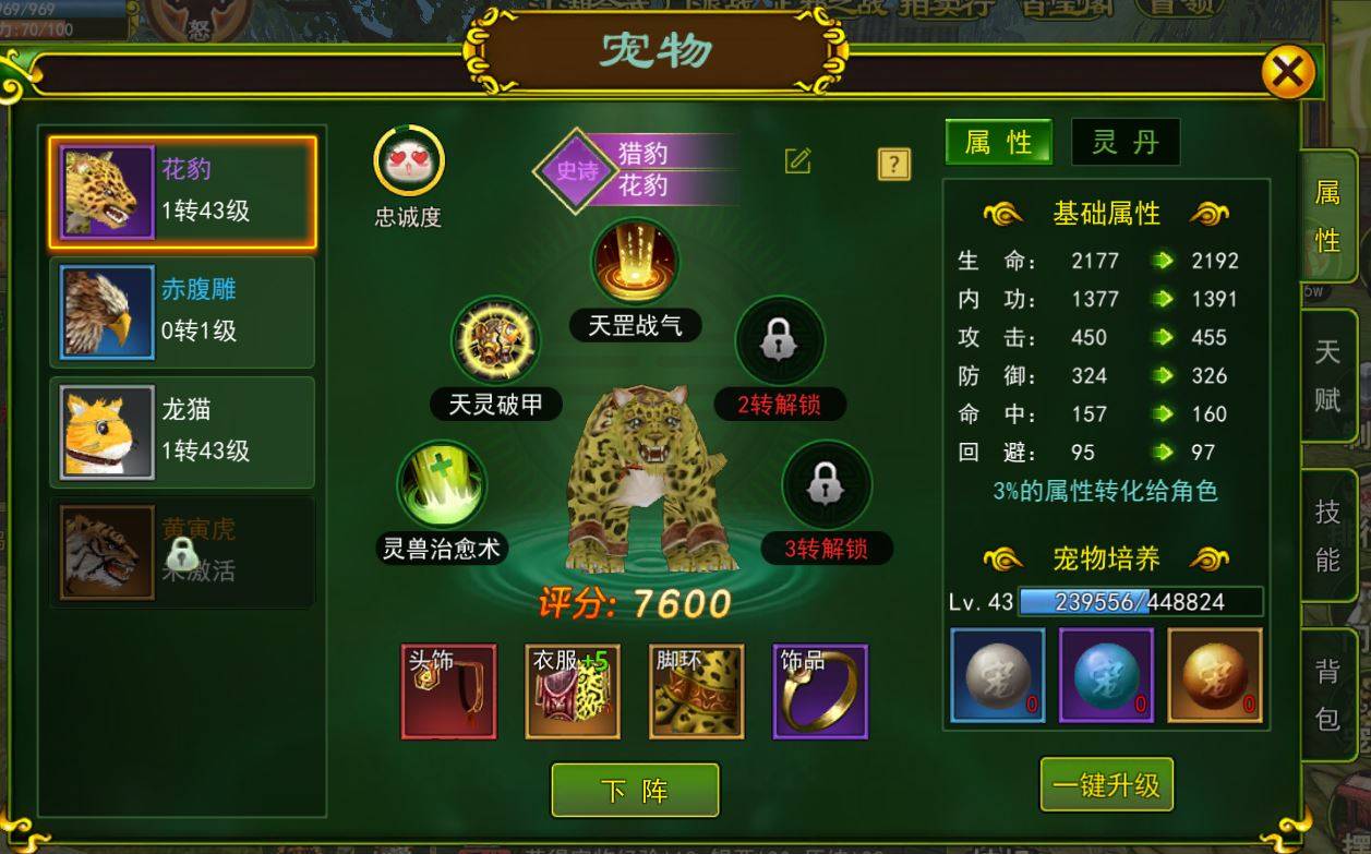 热血江湖手游：宠物花豹