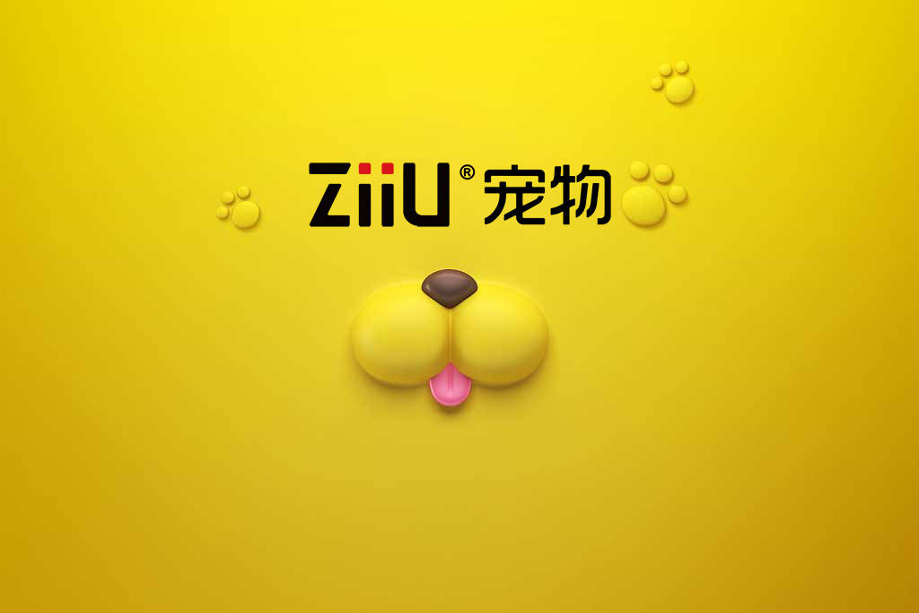 ZIIU自由宠物:6个很值得学习的宠物小知识！-第1张图片-冲锋网
