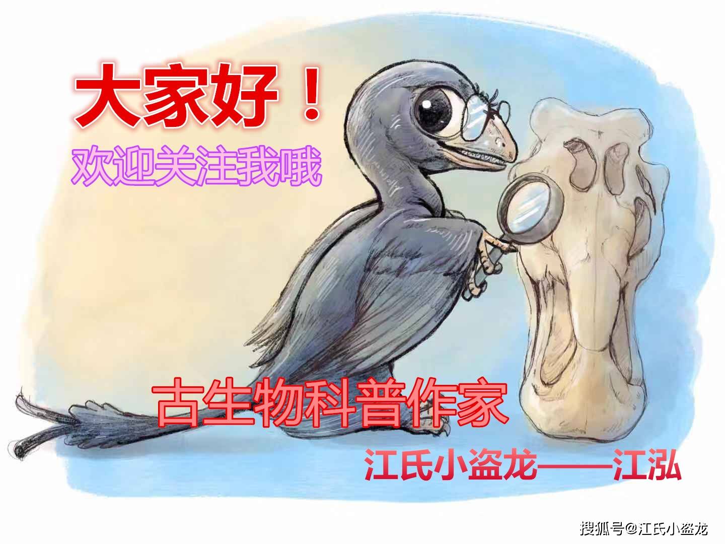 原创【史前巨虫】远古超级蜻蜓像鸟一样大！
