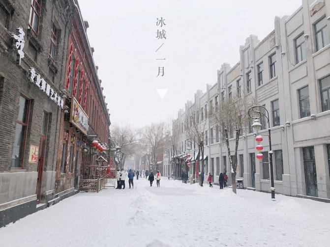 哈尔滨雪乡旅游攻略定制，找哈尔滨口碑好的旅游私人导游很放心