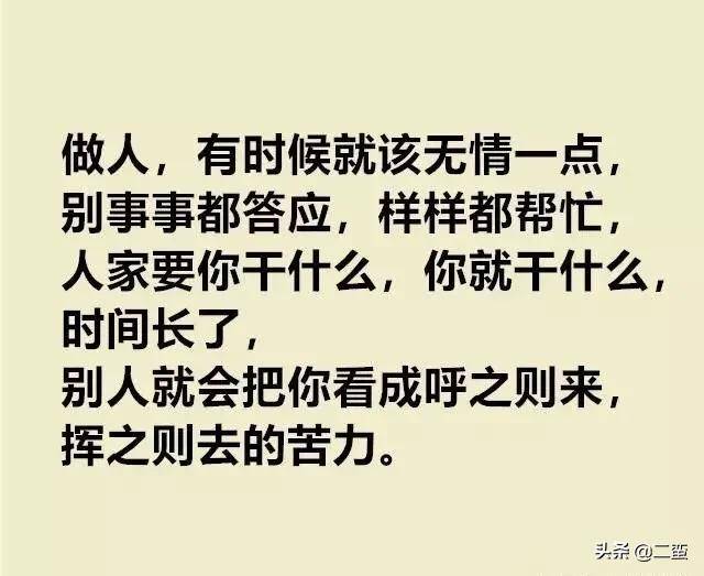 06fdc6487adb41eeb1c8a257b2967259.jpeg