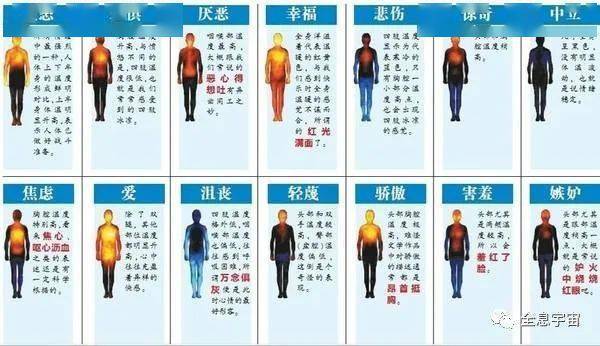 身体是"情绪的地图",教导我们如何与世界相处