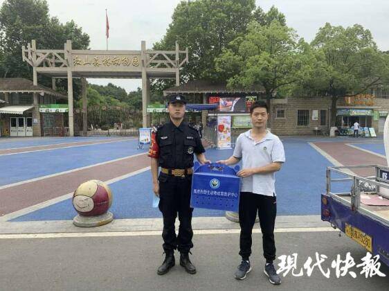 小家伙|小猫头鹰落在工程车下，民警送它到动物园