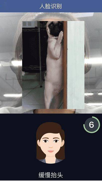 376600b593b84e81a6609d644192c443.jpeg