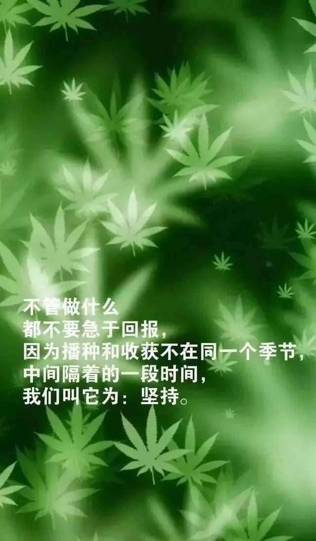 努力奋斗的早安句子,适合发朋友圈的早安心语正能量