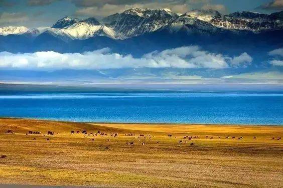 赛里木湖在新疆的哪里呀 3dadd71629b04065bc9a80da15ed15a9.jpeg